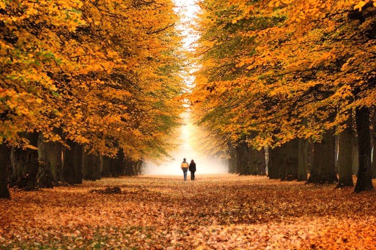 autumn-walk
